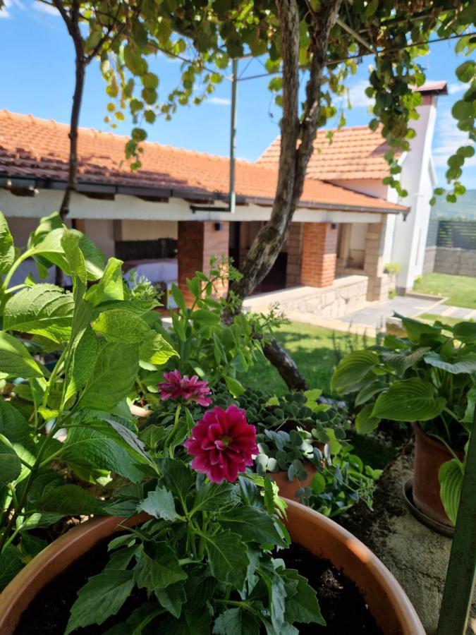 Villa Olea Zmijavci ภายนอก รูปภาพ